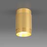 Встраиваемый светильник Elektrostandard DLN109 GU10 золото