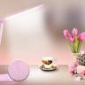 Настольная лампа Ambrella Light DE551 купить в интернет-магазине Lightsonic в Москве