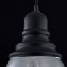 Подвесной светильник Maytoni T162-00-B купить в интернет-магазине Lightsonic в Москве