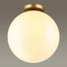 Накладной светильник Odeon Light 4249/1C купить в интернет-магазине Lightsonic в Москве