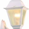 Светильник настенный ARTE Lamp A1011AL-1WH