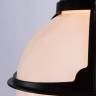 Подвесной светильник ARTE Lamp A1495SO-1BK купить в интернет-магазине Lightsonic в Москве