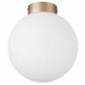 Накладной светильник Lightstar 812023 купить в интернет-магазине Lightsonic в Москве